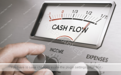 Cash or Cash Flow?