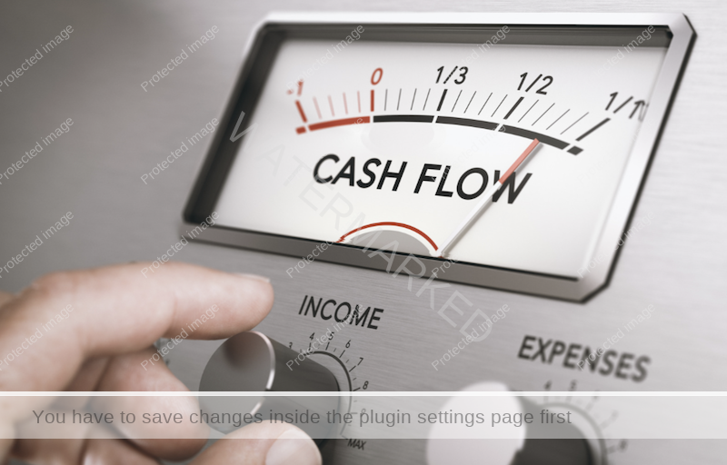 Cash or Cash Flow?